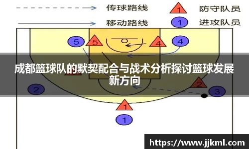 成都篮球队的默契配合与战术分析探讨篮球发展新方向