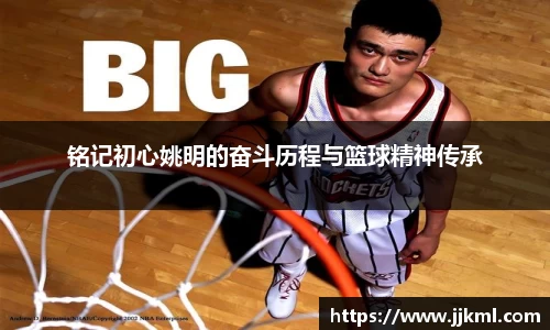 中欧体育官方网站
